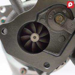 Polaris RZR - Pure Stage 1 - Image 4